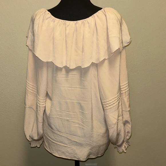 $298 MSRP Joie Silk Pink Sky Brennt Ruffle Blouse Large Silky feminine Shirt - Picture 4 of 8